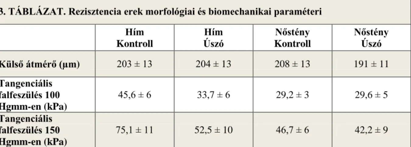 A külső átmérő változatlansága mellett (3. táblázat),  edzés  hatására  a belső  átmérő  szignifikánsan  csökkent  és  a  falvastagság/lumen  arány  szignifikánsan  nőtt  mindkét  nemben  (7