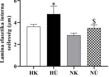 5. ábra A lamina elasztika interna szélessége 