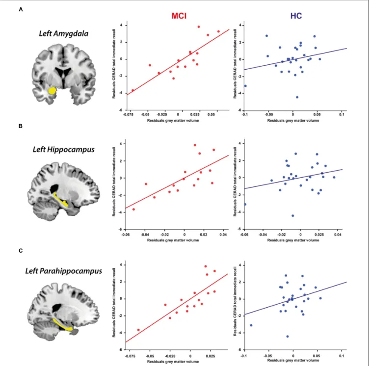 FIGURE 3 | Partial correlations controlling for age, gender, education, and TIV between CERAD total immediate recall performance and ROI GM volume in the MCI and HC group across 3 years (Holm–Bonferroni corrected p &lt; 0.006)