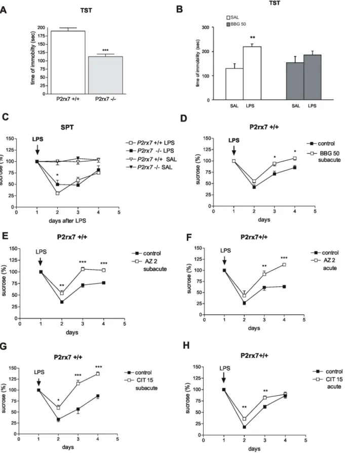 Figure 1. Genetic deletion and pharmacological inhibition of P2rx7 results in antidepressant phenotype in mice using the TST (A, B) and SPT (C–H) tests