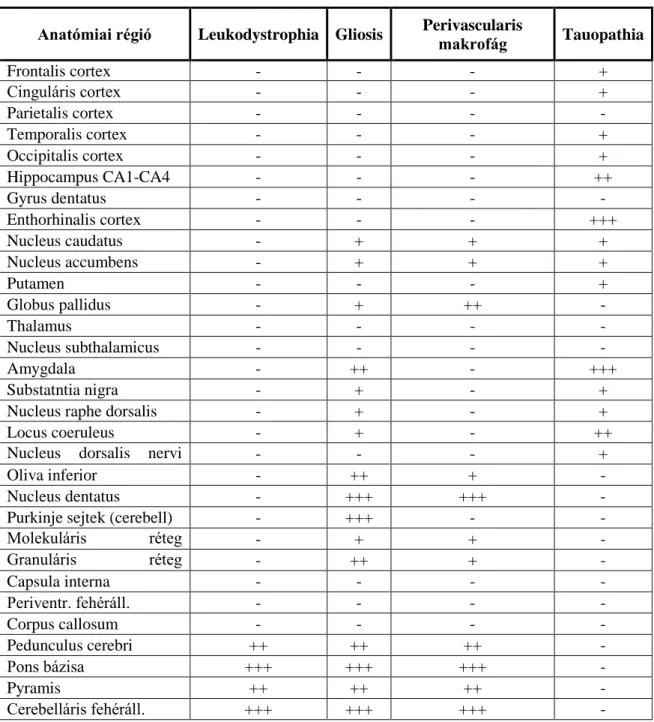 18. táblázat: neuropatológiai elváltozások az idősebb fiútestvérnél  Anatómiai régió  Leukodystrophia  Gliosis  Perivascularis 