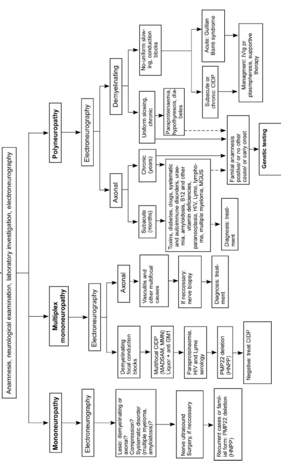 Fig 7. Evaluation and differential diagnostic considerations of neuropathies [8].  