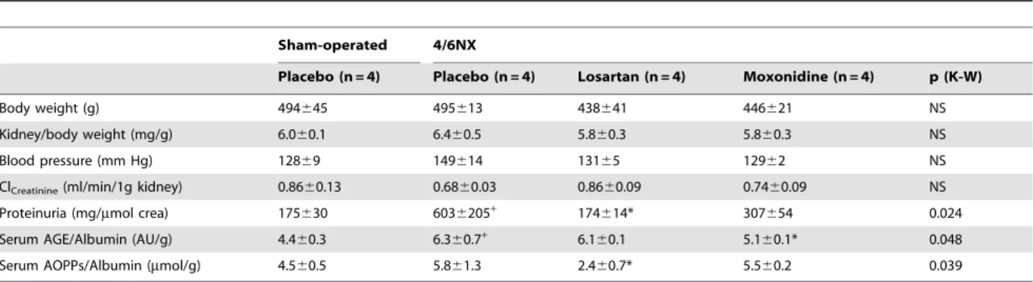 Table 1. Characteristics of sham-operated and 4/6-nephrectomized (4/6NX) rats at sacrifice.