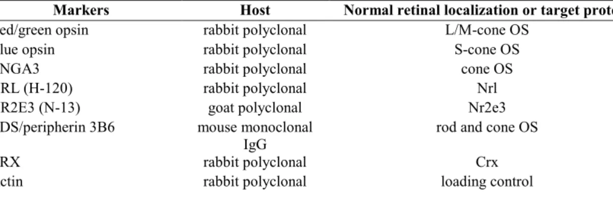 Table 5. List of antibodies used for immunoblotting of dog retinas. 