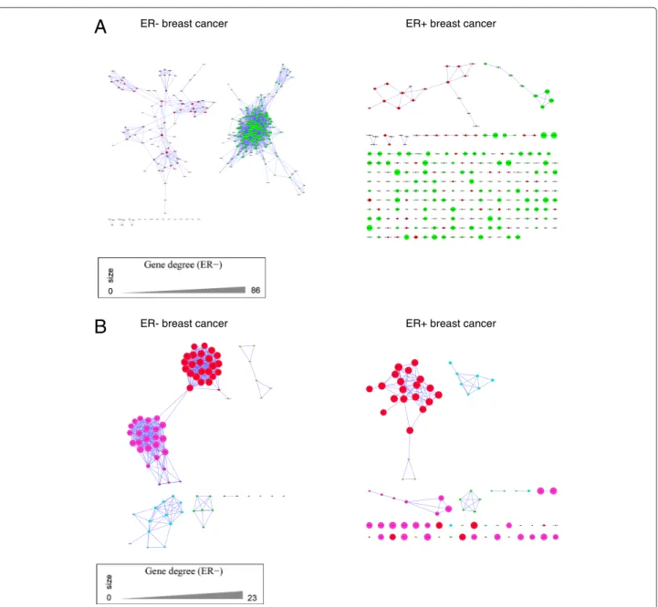Figure 4 Correlation networks of genes with higher correlation in ER- tumors compared to ER+ tumors