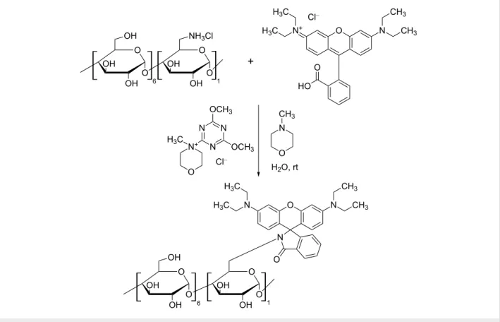 Figure 2: Reaction scheme for the synthesis of rhodamine-appended β-CD.