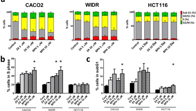 Fig. 2 Effect of 8-day-long treatment on clonogenic potential of colorectal cancer cells