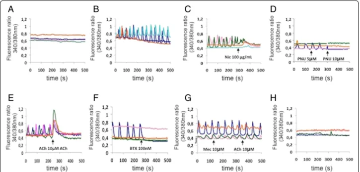 Fig. 6 Nicotinic AChR ligands inhibit RANKL-induced Ca 2+ oscillation. a, b Intracellular Ca 2+ level in BMMs, a cultured in the presence of M-CSF for 72 hours and b cultured in the presence of M-CSF and RANKL for 72 hours