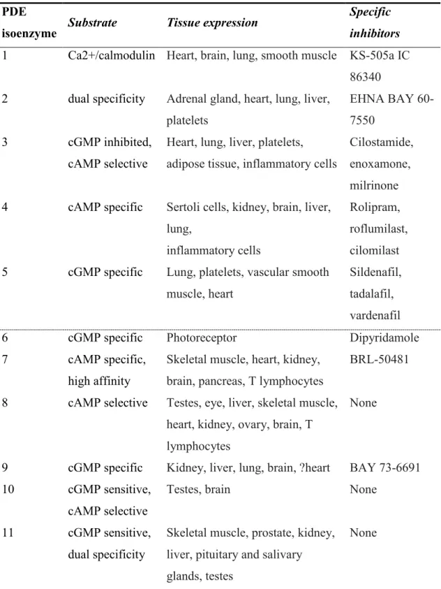 Table 2.  PDE isozymes, their specificity and selective inhibitors (Kass et al., 2007b)
