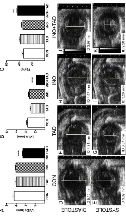 Figure 8. Echocardiographic measurement of cardiac remodelling and function. After 4 weeks, LV internal diameters at end-diastole and end- systole (LVIDd; LVIDs), reflecting the extent of LV dilatation and changes in contractile function, were attenuated i