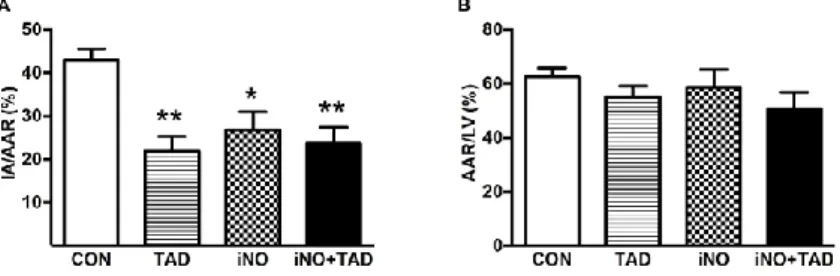 Figure  2.  Planimetric  analysis  of  TTC-stained  heart  sections.  All  treatment  strategies  (CON  n=7,  TAD  n=8,  iNO  n=5,  iNO+TAD  n=5)  reduced  infarcted  area  (IA)  expressed  relative  to  the  area  at  risk  (AAR)  when  compared  to  CON 