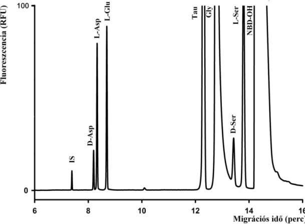9. ábra: 10 -6  M L-ciszteinsav belső standard (IS), 5 µM D-Asp és D-Ser, 25 µM L- L-Asp, L-Glu és L-Ser, 50 µM glicin (Gly) és taurin (Tau) tartalmú standard minta