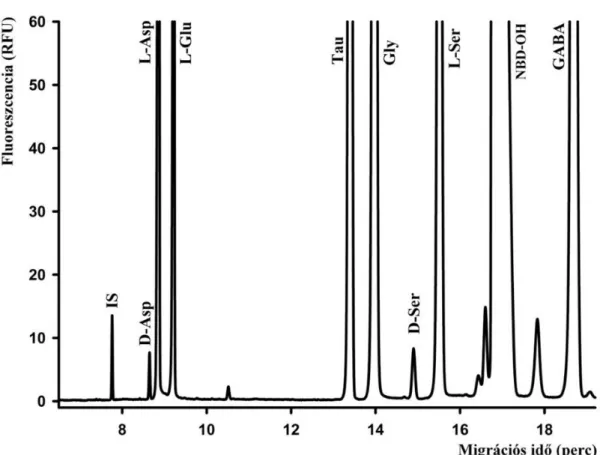 12. ábra: 1 µM L-ciszteinsav belső standard (IS), 2,5 µM D-Asp és D-Ser, 25 µM L- L-Asp, L-Glu és L-Ser, 50 µM glicin (Gly) és taurin (Tau) és GABA tartalmú 