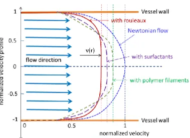 Figure 5. Cork-profile of the velocity of blood flow with various intermixtures (RP, surfactants, filaments)  The apparent viscosity of the non-Newtonian liquid decreases by the shear-rate, and its apparent viscosity decreases with  the  shear  rate,  and 