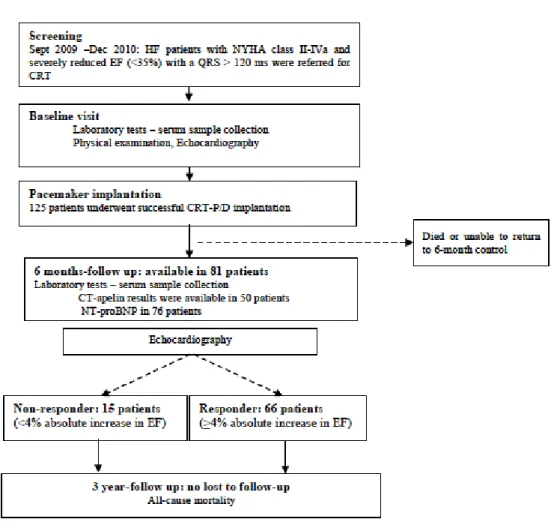 Figure 1. Flowchart of patient enrolment and follow up of optimal patient selection by  biomarkers 