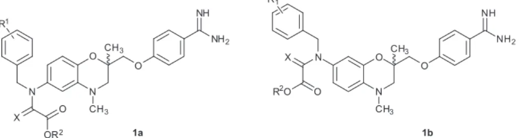Fig. 1. 1,4-Benzoxazines 1a, 1b with thrombin inhibitory and GPIIb/IIIa antagonistic activity, intermediary nitriles 2a and 2b and [1,2,4]triazolo[4,3,b]pyridazine analogs 2c.