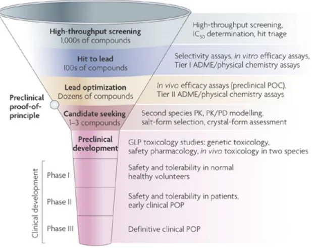 Figure 3. Scheme of the drug discovery and development process. The diameter of the  funnel represents the number of molecules involved at the particular level