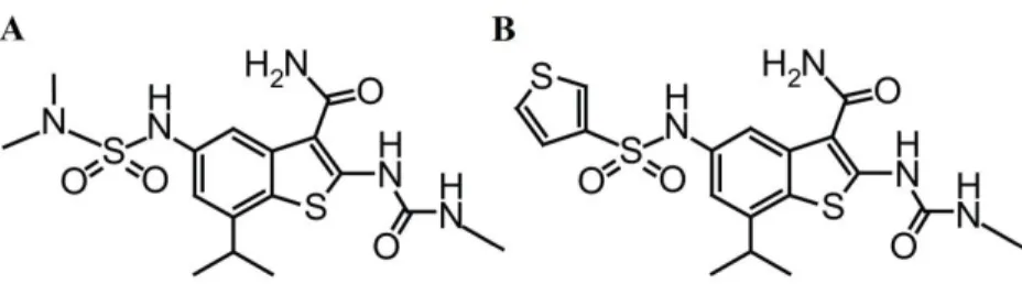 2. Ábra A 21-es (A) és 25-ös (B) vegyületek kémiai szerkezete.