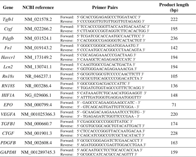 Table 1 Sequences of primer pairs for quantitative RT-PCR. 