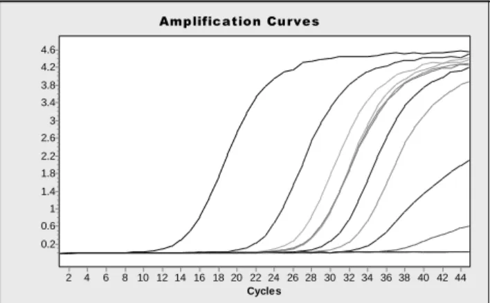 Figure  2. Amplification curves of  milk samples  from the 6 th  and 7 th day after infection