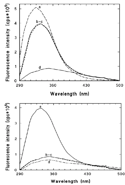 Figure 5a demonstrates the fluorescence emission spectra of the BSA solution, LBG,  BSA–LBG 1:6 physical mixture, and BSA–LBG 1:6 conjugate