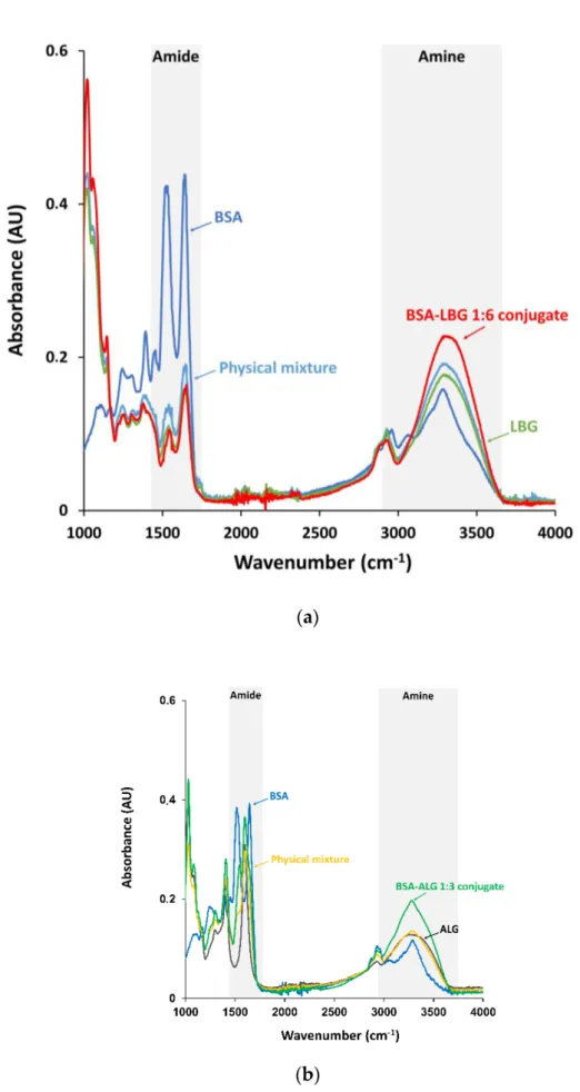 Figure 1. (a) FTIR absorption spectra of the native BSA, LBG, BSA–LBG physical mixture and BSA–