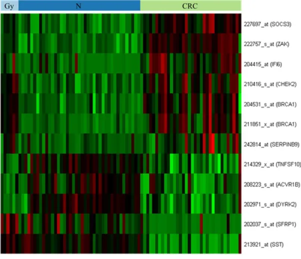 10. ábra: Az élettani öregedés és a kolorektális karcinogenezis során változó mRNS- mRNS-expressziót mutató, apoptózist szabályozó gének azonosítása, Affymetrix HGU133  Plus2,0 array felhasználásával