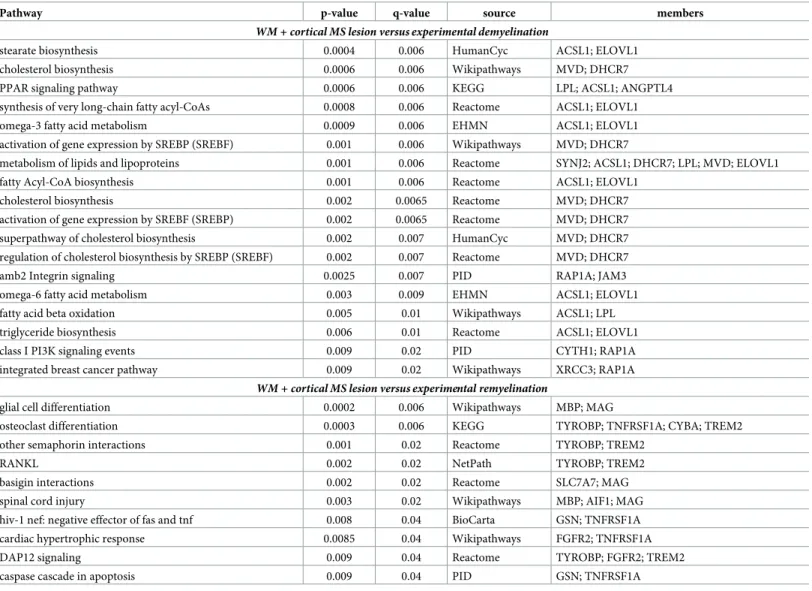 Table 1. Pathways of orthologous genes differentially expressed in both experimental de/remyelination and MS lesions.