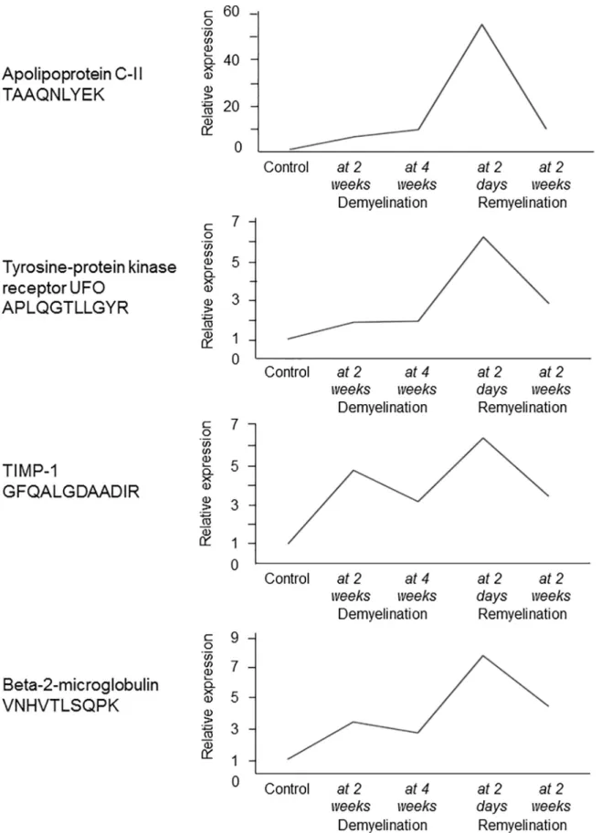 Fig 6. Experimental de- and remyelination kinetics of 4 genes with differentially regulated orthologues in the MS CSF