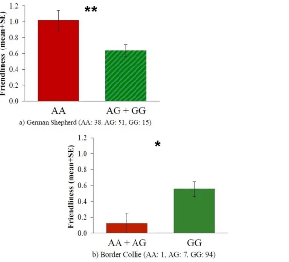 Figure 4. Friendliness scores mean differences between the different 19131AG genotypes in German Shepherds (a) and Border Collies (b)