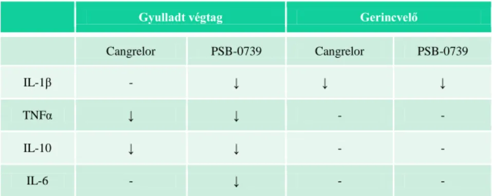 3. táblázat P2Y12 farmakológiai és genetikai blokádjának a hatása a gyulladt végtag és a gerincvelő  citokinszintjeire 