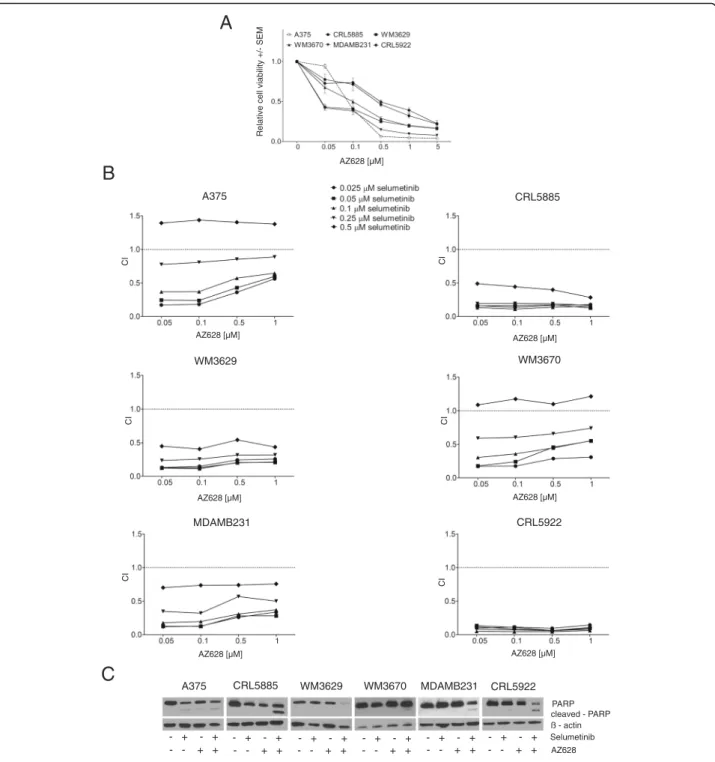 Fig. 6 Growth inhibition and PARP levels upon combination treatment of selumetinib and AZ628