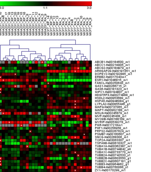 Figure 3. Hierarchical clustering image of the samples using the RT-PCR measured genes in both doxorubicin- and paclitaxel- paclitaxel-resistant cell lines