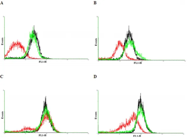 Figure 4. Flow cytometric analysis of rhodamin 123 stained resistant and parental MDA-MB-231 and MCF7 cell lines