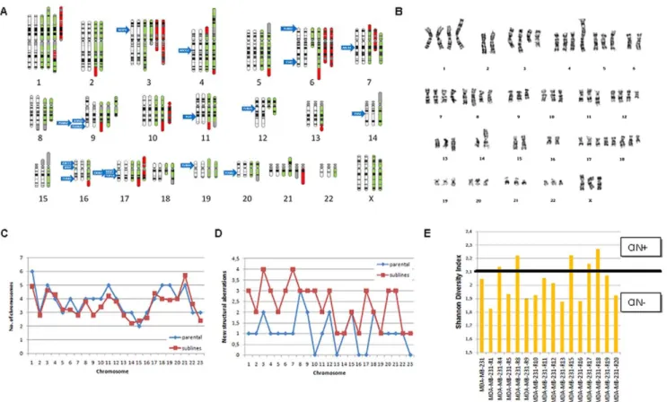 Figure 5. Complete overview of cytogenetic aberrations of the resistant derivatives of the MDA-MB-231 cell line