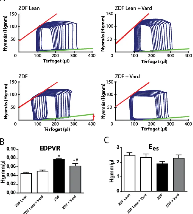 3. ábra Vardenafil hatása az in vivo és in vitro kardiális funkcióra T2DM-ben 