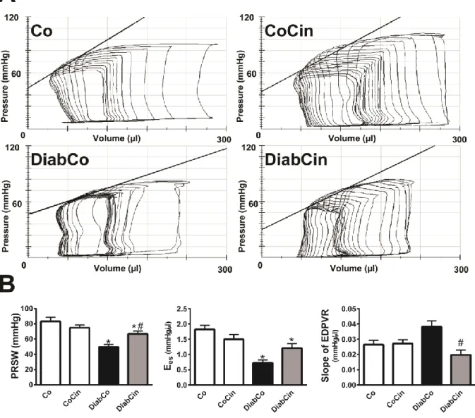 Figure 2. Effect of cinaciguat on cardiac performance in T1DM 