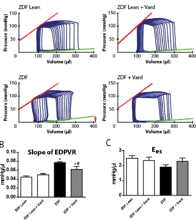 Figure 3. Effects of vardenafil on in vivo and in vitro myocardial function in T2DM 