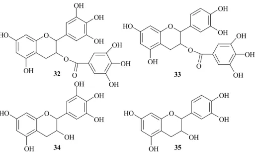 9. ábra: A zöld tea aktív komponensei. Epigallokatechin-3-gallát (32), epikatechin-3-gallát (33),  epigallokatechin (34), epikatechin (35)