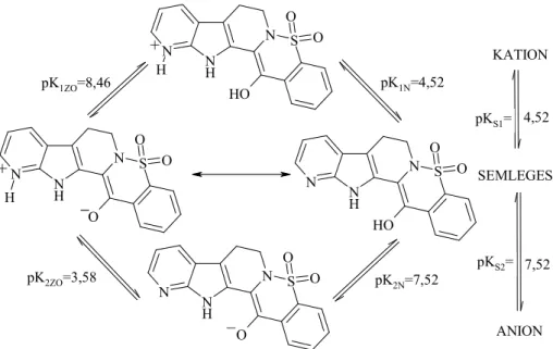 8. ábra: 14-hidroxi-12-azaindolopirido-1,2-benzotiazin 5,5-dioxid (205) mikrospeciációs sémája,  prediktált protonálódási mikro-, és makroállandói