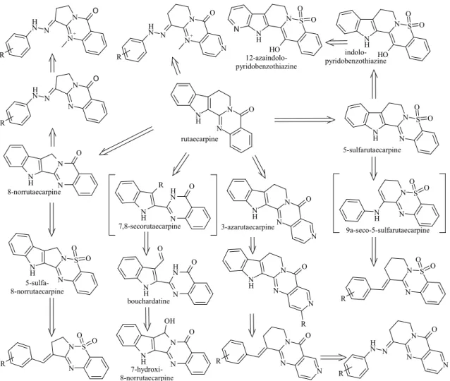 Figure 9. Bioisosteric derivation of the produced compounds from rutaecarpine. 