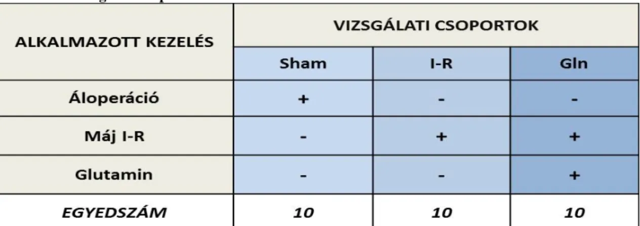 3.1.5.1. Kísérlet I: Glutamin (1. táblázat) 