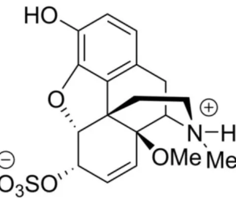 Figure 1. The chemical structure of the novel compound 14-O-methylmorphine- 14-O-methylmorphine-6-O-sulfate (14-O-MeM6SU) 