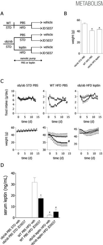 Figure 1: Effects of peripheral CB 1 R blockade on food intake and body weight in obese mice with different leptin status