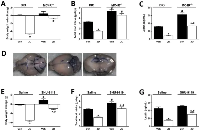 Figure 7: MC4R deactivation abolishes the hypophagic and weight reducing effects of peripheral CB 1 R blockade