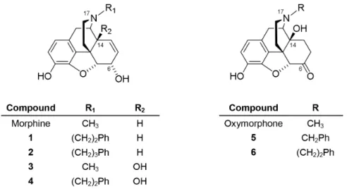 Figure 1. Structures of morphine, oxymorphone and N-substituted morphinans 1–6. Ph, phenyl.