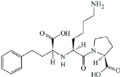 Figure 1. Chemical structure of the ACE inhibitor lisinopril 
