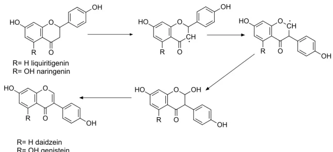 Figure 13: The biosynthesis of isoflavonoids from flavonoids catalyzed by 2-HIS [95] 