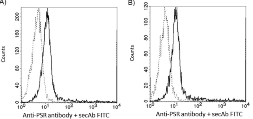 Figure 4.  Phosphatidylserine receptor expression on CD4 +  and CD8 +  cells. Flow cytometry analysis of PSR  expression on the cell surface of CD4 +  (A) and CD8 +  (B) T cells