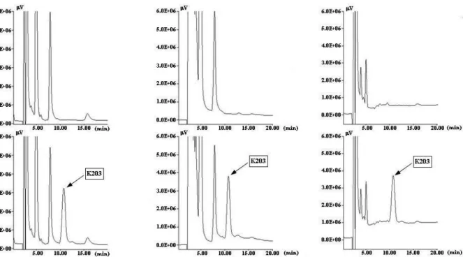 Figure 2. Chromatograms of control rats (upper line) and that of samples spiked with 1µg/ml  K203  (lower  line)  from  rat  serum,  brain  and  CSF,  respectively  using  2.5  g/l  OSA  and  EC  detection 
